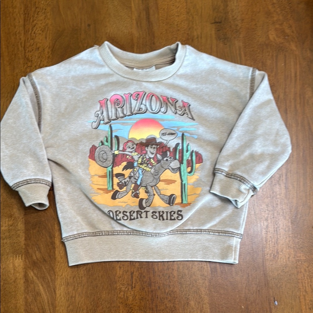 Disney Toy Story Arizona Desert Skies Kids Sweatshirt - Gray